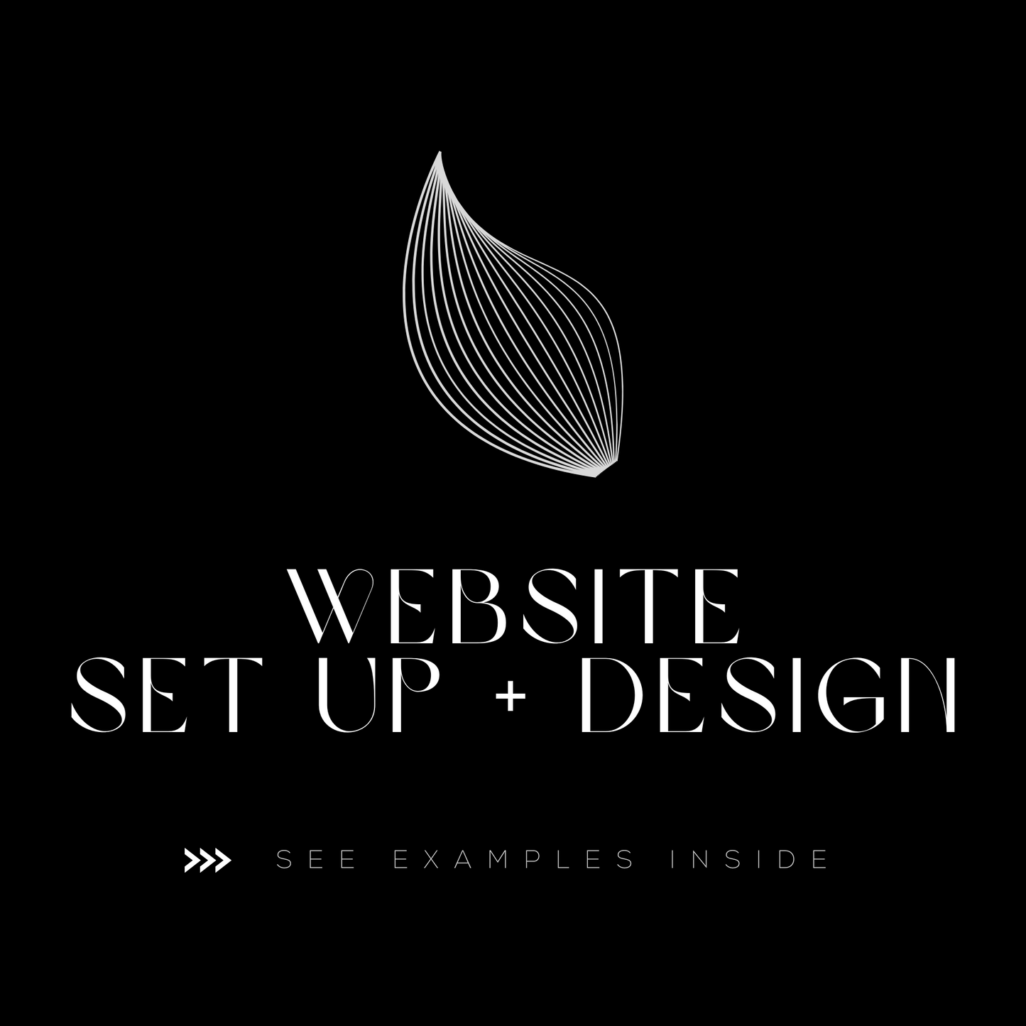 Website Setup + Design